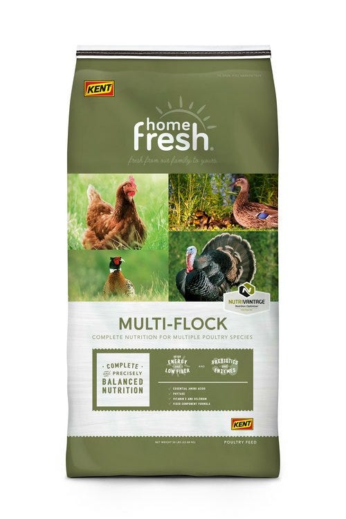 Kent Home Fresh Poultry Feed Chick N Game Starter Grower