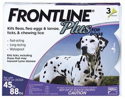 Flea and tick guard 2025