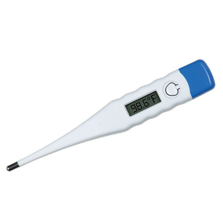 thermometer store