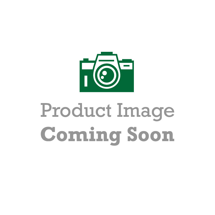 Tidy cat non clumping litter 40 lb best sale