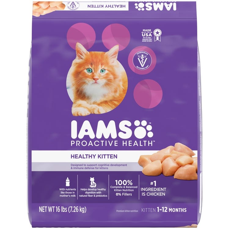 Healthiest kitten shop food