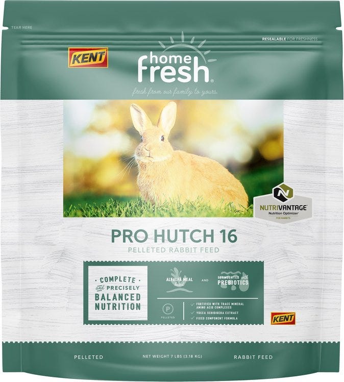 Kent rabbit outlet food