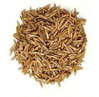 Barenbrug Grass Seed Rye Annual 50 lb. Bag