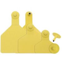 Ear Tag Z2 Blank Yellow 25 Pack