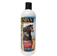 Banixx Shampoo 16 oz.