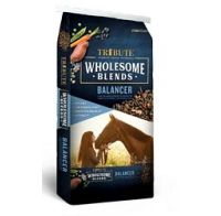 Tribute Wholesome Blends Horse Feed Balancer 3 Months and Older Textured 28% 50 lb. Bag