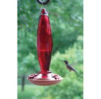WoodLink Hummingbird Feeder Jewel Cut Ruby Red