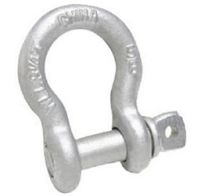 Anchor Shackle Clevis Screw Pin Galvanized