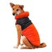 Fashion Pet Puffer Dog Coat Lightweight