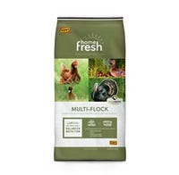 Kent Home Fresh Poultry Feed Turkey N Game Starter Crumble 50 lb. Bag
