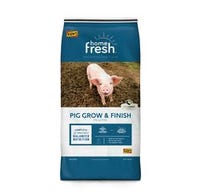 Kent Home Fresh Pig Feed Grower/Finisher Pellets 50 lb. Bag