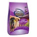 Nutrisource Dog Food Puppy Large Breed 15 lb. Bag Chicken/Rice