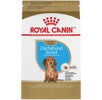 Royal Canin Dog Food Dachshund Puppy 2.5 lb. Bag