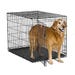 Dog Crate 42 in. x 28 in. x 30 in.