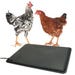 Heated Poultry Pad Large