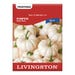 Livingston Seed Pumpkin Baby Boo Seed