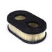 Briggs & Stratton Air Filter fits 550e-550ex Series Engines