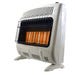 Mr. Heater Radiant Heater F299830