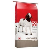 Purina Goat Feed Non Medicated Grower 16% Protein
