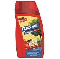 Daconil Fungicide Concentrate 1 pint Liquid