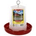 Little Giant Poultry Poultry Feeder PHF3 3 lb. Poly