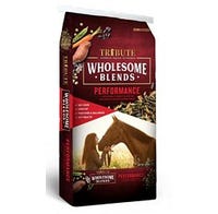 Tribute Wholesome Blends Horse Feed Performance 2 Years and Older Textured 14% 50 lb. Bag