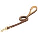 Terrain D.O.G. Deer Ridge Dog Leash 3/4 in. x 4 ft.