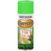 Rust-Oleum Specialty Fluorescent Spray Paint Fluorescent Green 11 oz.