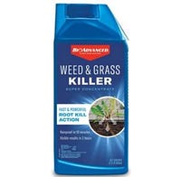 BioAdvanced Weed and Grass Killer 32 oz.