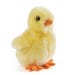 Living Nature Stuffed Animal Chicks Yellow