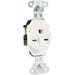 Pass & Seymour Outlet Single Heavy Duty 15 Amp White