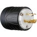 Pass & Seymour Plug Locking Wire Grounding 20 Amp Black and White