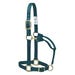 Weaver Original Halter Adjustable 1 in. Small Teal Nylon