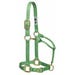 Weaver Original Halter Adjustable 1 in. Small Pistachio Green Nylon