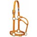 Weaver Original Halter Adjustable 1 in. Average Mustard Nylon