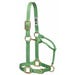 Weaver Original Halter Adjustable 1 in. Average Pistachio Green Nylon