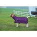 Weaver ProCool Goat Blanket Large Purple