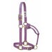 Weaver Original Halter Adjustable 1 in. Small Lavender Nylon