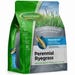 Green Thumb Premium Grass Seed Perennial Ryegrass 3 lb.