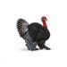 Schleich Toy Animal Turkey