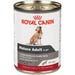 Royal Canin Dog Food Mature Adult 13.5 oz.
