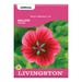 Livingston Seed Mallow Vulcan Seed