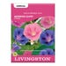 Livingston Seed Morning Glory Choice Seed