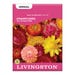 Livingston Seed Strawflower Tall Double Mix Seed
