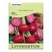 Livingston Seed Beet Chioggia Seed