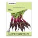 Livingston Seed Beet Cylindra Seed