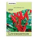 Livingston Seed Hot Pepper Thai Seed