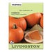Livingston Seed Pumpkin Small Sweet Sugar Pie Seed