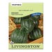 Livingston Seed Squash Table King Acorn (Heirloom) Seed