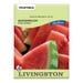 Livingston Seed Watermelon Dixie Queen (Heirloom) Seed